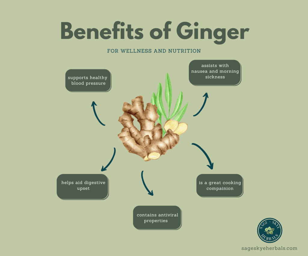 graph about the benefits of ginger