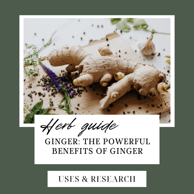 Ginger Information Blog Cover