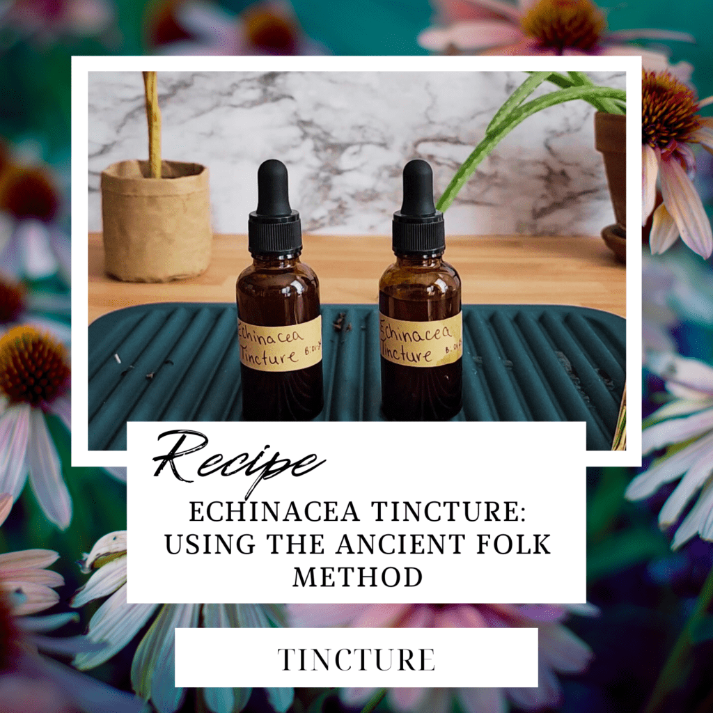 Echinacea Tincture