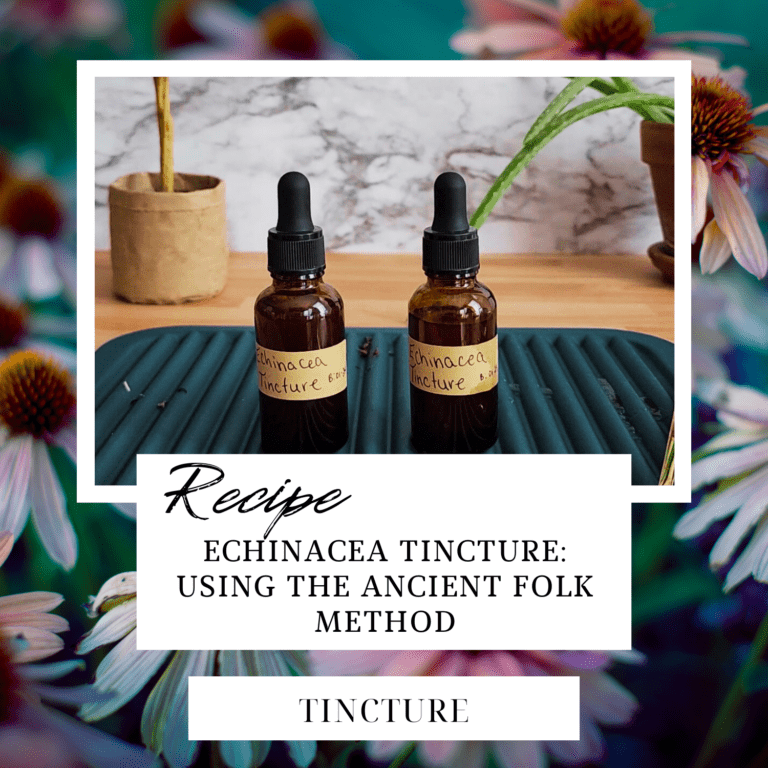 Echinacea tincture