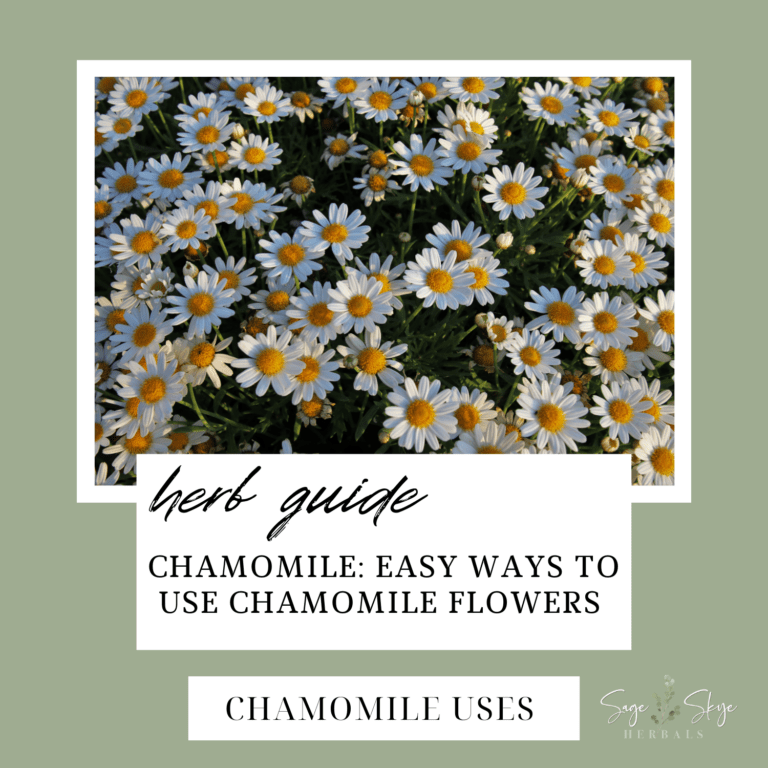 Chamomile