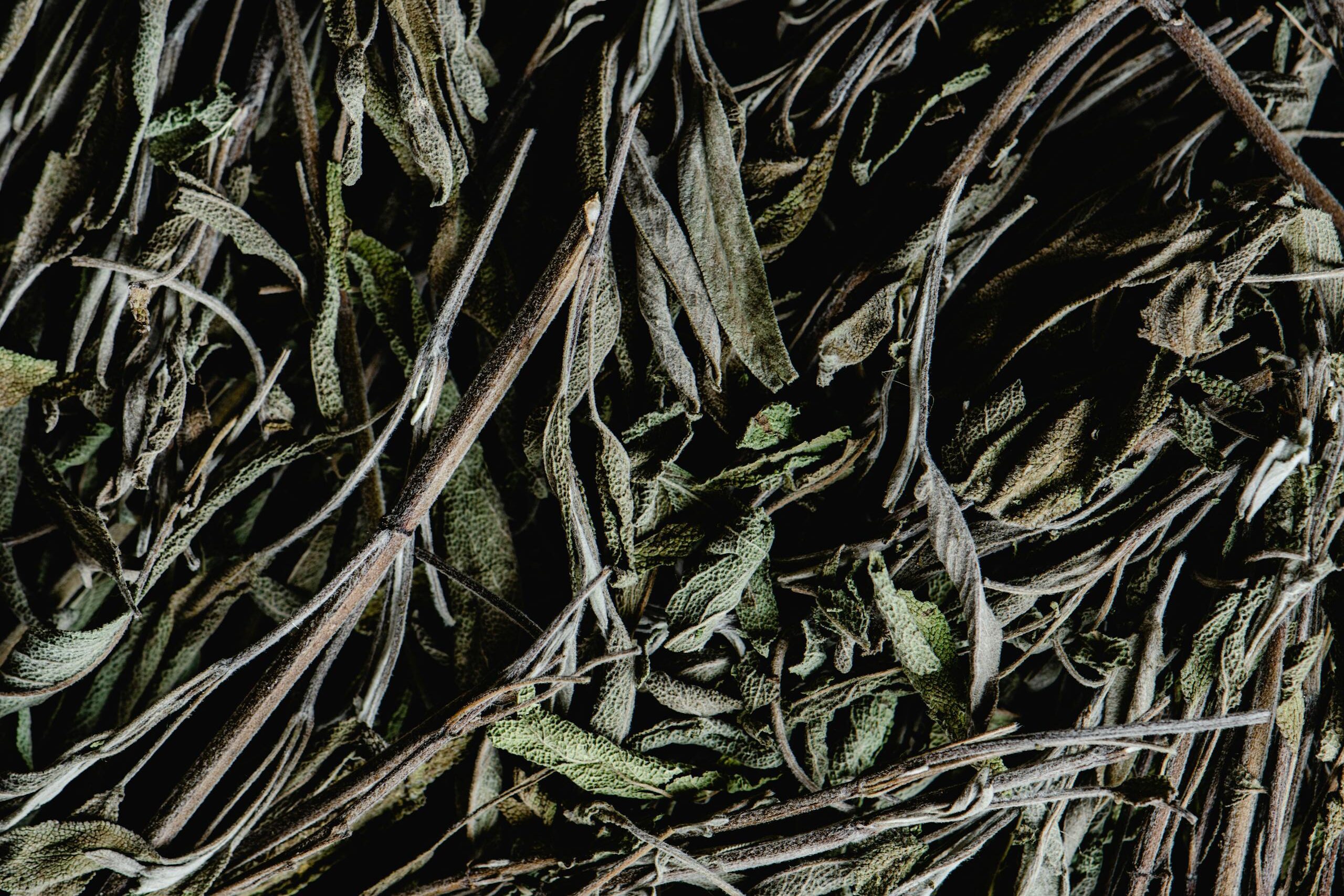 Close-Up Photo of Dried Sage