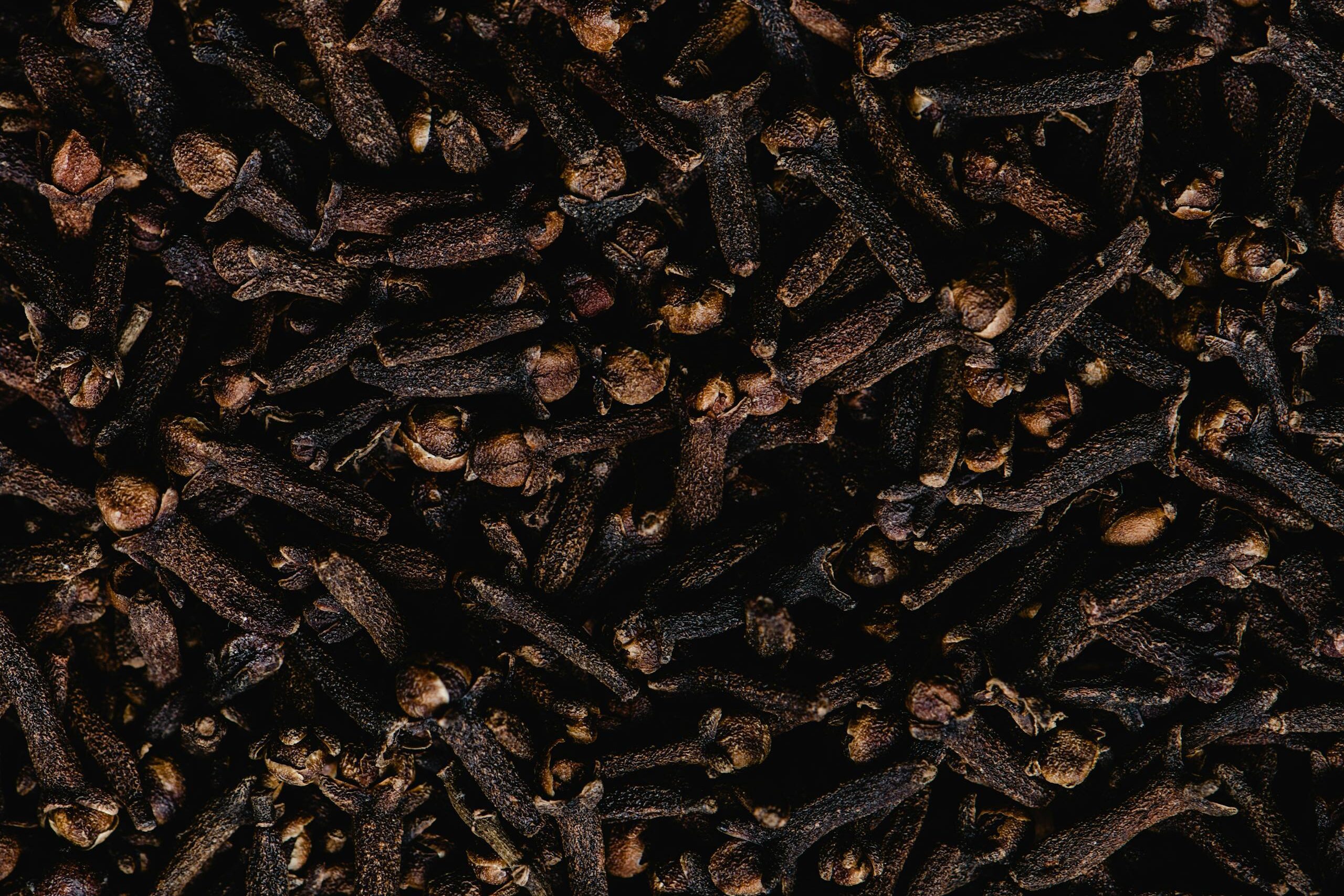 Dried Cloves in Close-up Shot