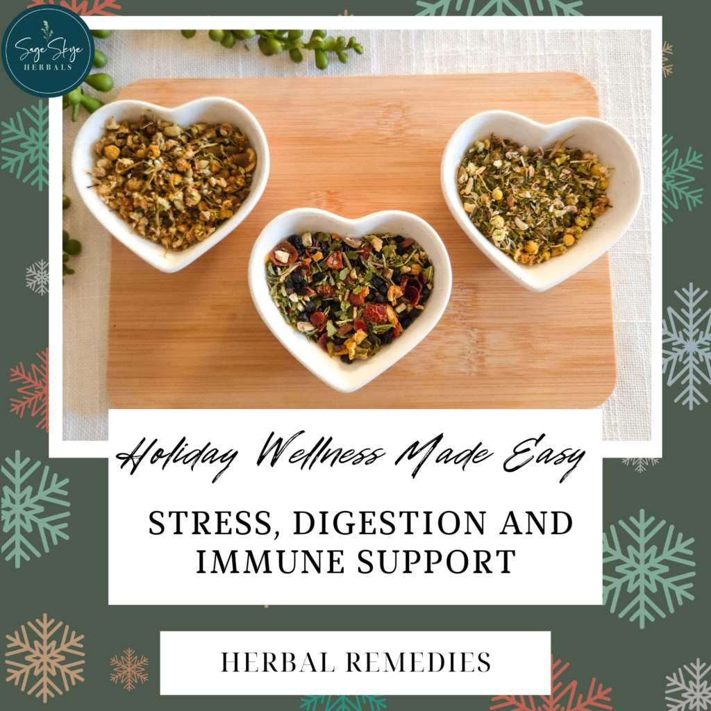 holiday wellness herbal remedies blog post cover